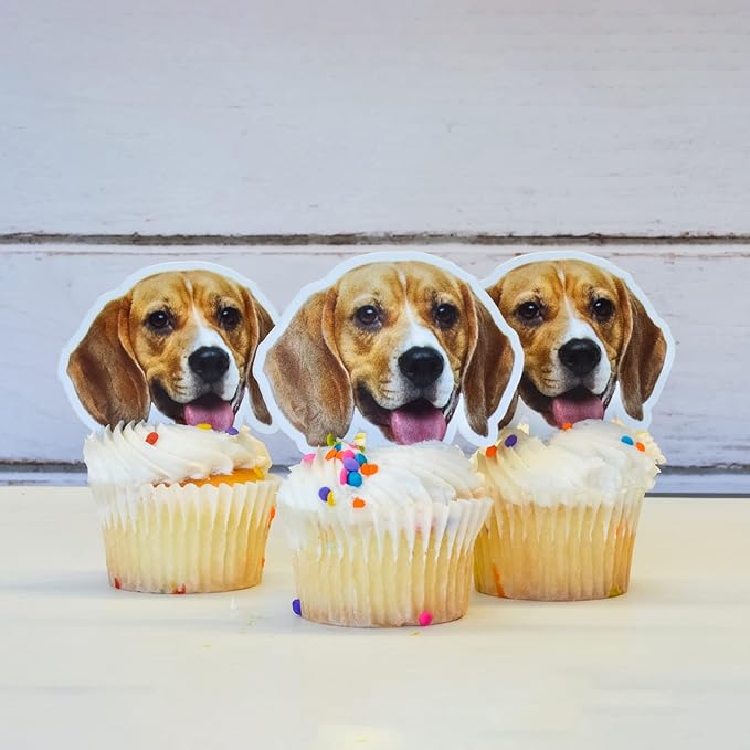 VictoryStore – Custom Cupcake Toppers – Set of 75 Personalized Face Cupcake Toppers with Custom Photo – Perfect for Birthdays, Wedding Showers, Anniversaries and More