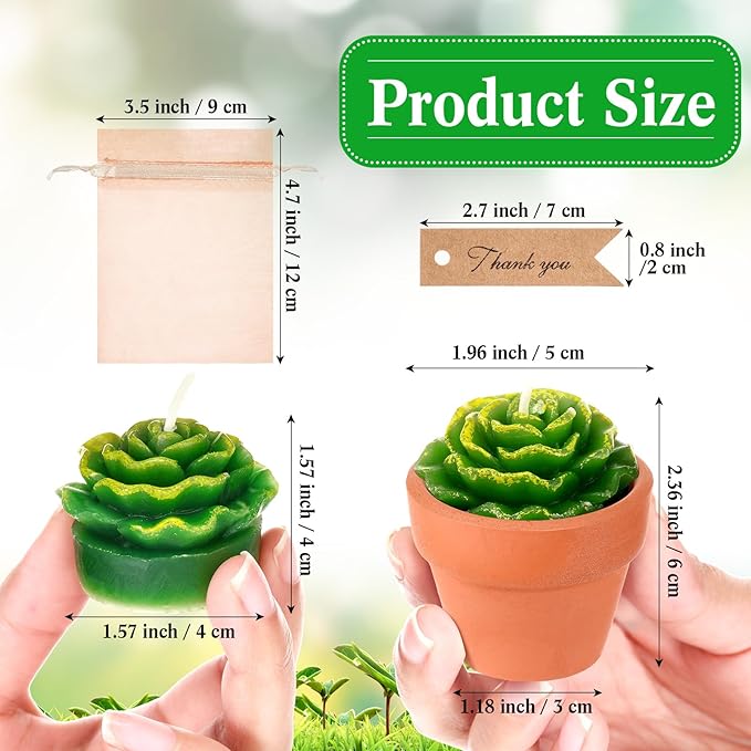 MTLEE 36 Pcs Succulent Tealight Candles - Wedding Party Baby Shower Valentines Gifts Birthday Pack with Terracotta Pot, Organza Bag, Tags, Twines