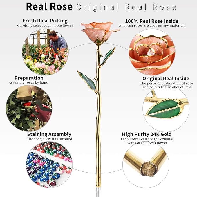 24K Gold Rose, Gold Dipped Rose Made from Real Rose Best Gifts for her and Great Gifts for Wife, Pink with Stand