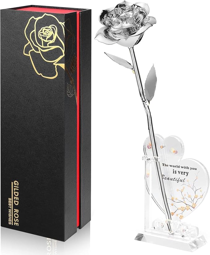 Gold Dipped Infinity Rose Last Forever Flower Decor, Birthday Gift for Women in Her Birthday Valentines Day Mothers Day, Resin Preserved Rose | Anniversary Present for Mom (Silver)