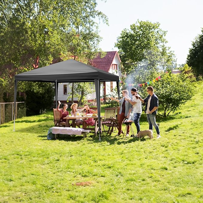 Party Tent for Outdoor Wedding, Birthday, Event, Patio Gazebo, Carport Canopy Shade With Removable Sidewalls & Transparent Window (10'x10'/4 Sidewalls Black)