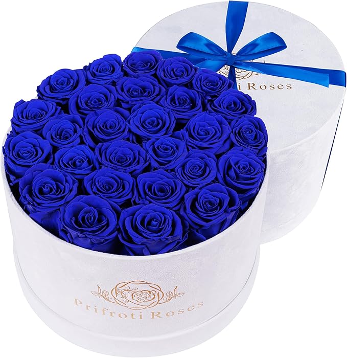 27 Flowers in a Luxury Suede Box, Birthday Gifts for Women, Preserved Flowers, Mothers Day Roses Gift for Mom, Royal Blue