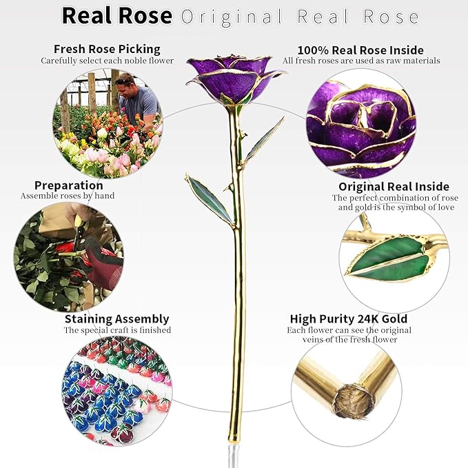 Anniversary Rose Gift for Wife, Forever 24k Gold Real Rose and Best for her Rose, Purple with Stand