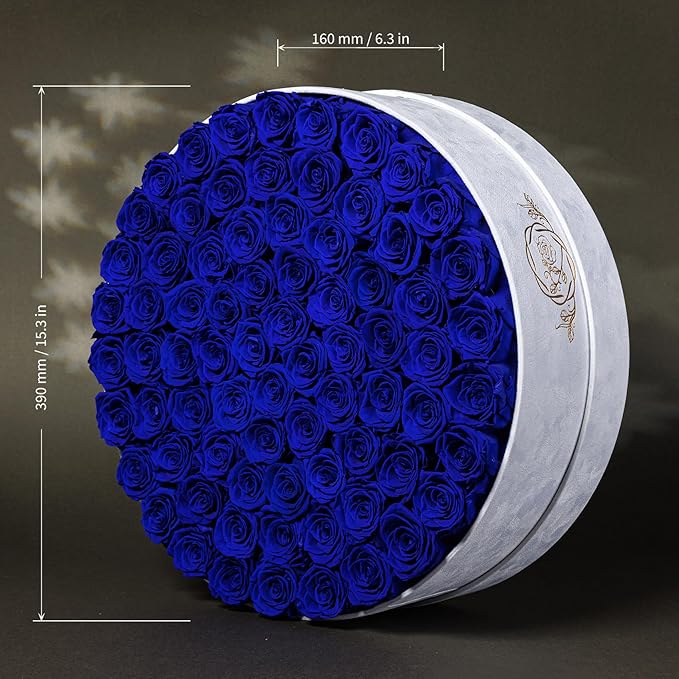 75 Preserved Roses in Suede Box – Luxury Rose Flower Arrangement, Preserved Flowers Gifts for Women, Wife or Mom – Birthday, Anniversary, Valentine’s Day, Mother's Day (Royal Blue)