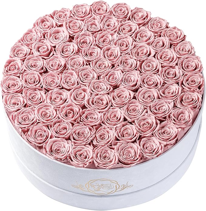75 Preserved Roses in Suede Box – Luxury Rose Flower Arrangement, Preserved Flowers Gifts for Women, Wife or Mom – Birthday, Anniversary, Valentine’s Day, Mother's Day (Dusty Rose)