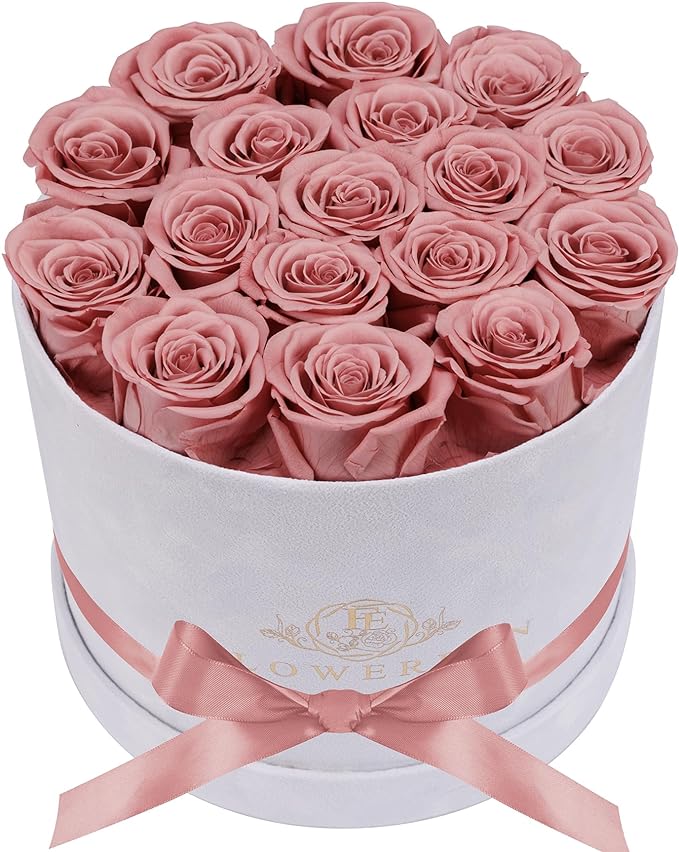 17 Flowers in a Luxury Suede Box, Birthday Gifts for Women, Preserved Flowers, Mothers Day Roses Gift for Mom, Dusty Rose