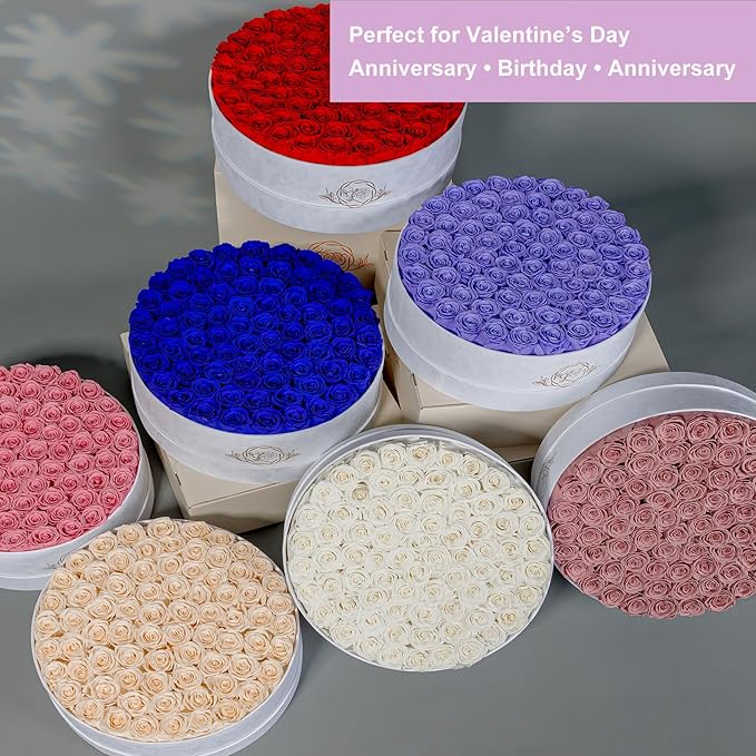 75 Preserved Roses in Suede Box – Luxury Rose Flower Arrangement, Preserved Flowers Gifts for Women, Wife or Mom – Birthday, Anniversary, Valentine’s Day, Mother's Day (White)