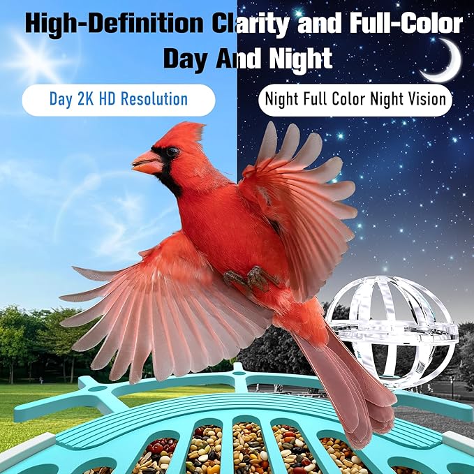 Bird Feeder with Camera 3W Solar Powered Panel Valentines Day Gifts: Smart Bird Feeder for Outdoors with AI Birds Identify Auto Capture, 2K Live Video, Ideal Gift for Parents Men Women(Blue)