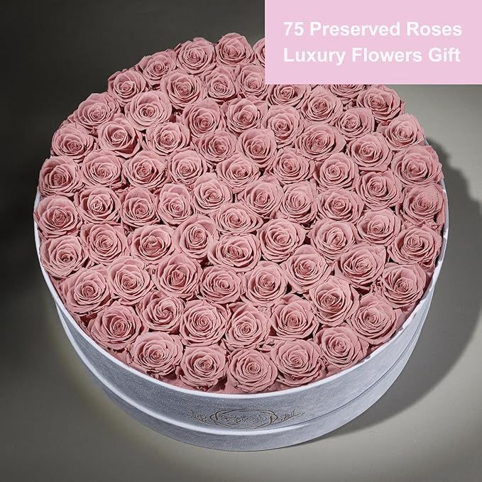 75 Preserved Roses in Suede Box – Luxury Rose Flower Arrangement, Preserved Flowers Gifts for Women, Wife or Mom – Birthday, Anniversary, Valentine’s Day, Mother's Day (Dusty Rose)