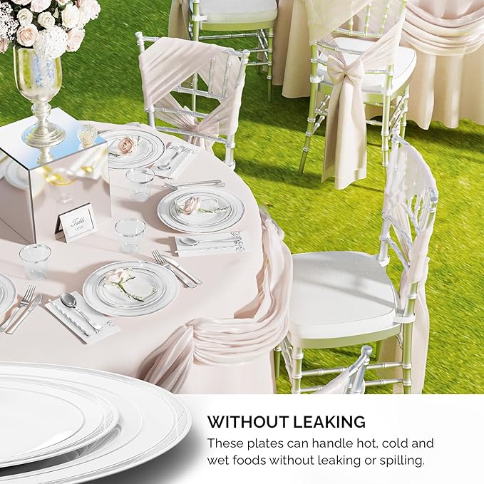 ROVSUN 800-Piece Silver Disposable Dinnerware Set for 100 Guests - Elegant Plastic Plates, Napkins, Silverware, Dessert Plates, Cups, Straws