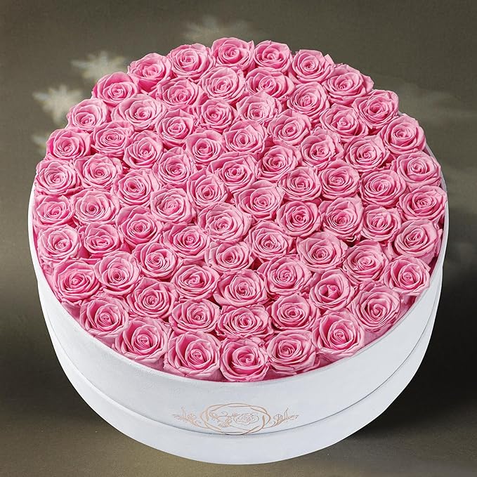 75 Preserved Roses in Suede Box – Luxury Rose Flower Arrangement, Preserved Flowers Gifts for Women, Wife or Mom – Birthday, Anniversary, Valentine’s Day, Mother's Day (Pink)
