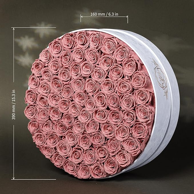 75 Preserved Roses in Suede Box – Luxury Rose Flower Arrangement, Preserved Flowers Gifts for Women, Wife or Mom – Birthday, Anniversary, Valentine’s Day, Mother's Day (Dusty Rose)