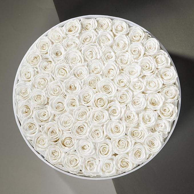 75 Preserved Roses in Suede Box – Luxury Rose Flower Arrangement, Preserved Flowers Gifts for Women, Wife or Mom – Birthday, Anniversary, Valentine’s Day, Mother's Day (White)