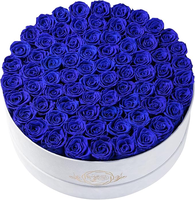 75 Preserved Roses in Suede Box – Luxury Rose Flower Arrangement, Preserved Flowers Gifts for Women, Wife or Mom – Birthday, Anniversary, Valentine’s Day, Mother's Day (Royal Blue)