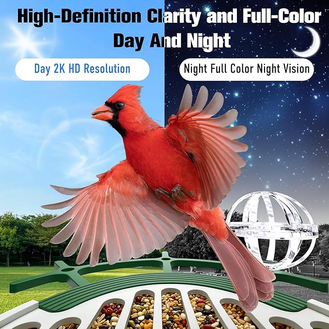 Bird Feeder with Camera 3W Solar Powered Panel Valentines Day Gifts: Smart Bird Feeder for Outdoors with AI Birds Identify Auto Capture, 2K Live Video, Ideal Gift for Parents Men Women(Green)