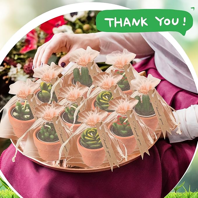 MTLEE 24 Pcs Succulent Tealight Candles - Wedding Party Baby Shower Valentines Gifts Birthday Pack with Terracotta Pot, Organza Bag, Tags, Twines