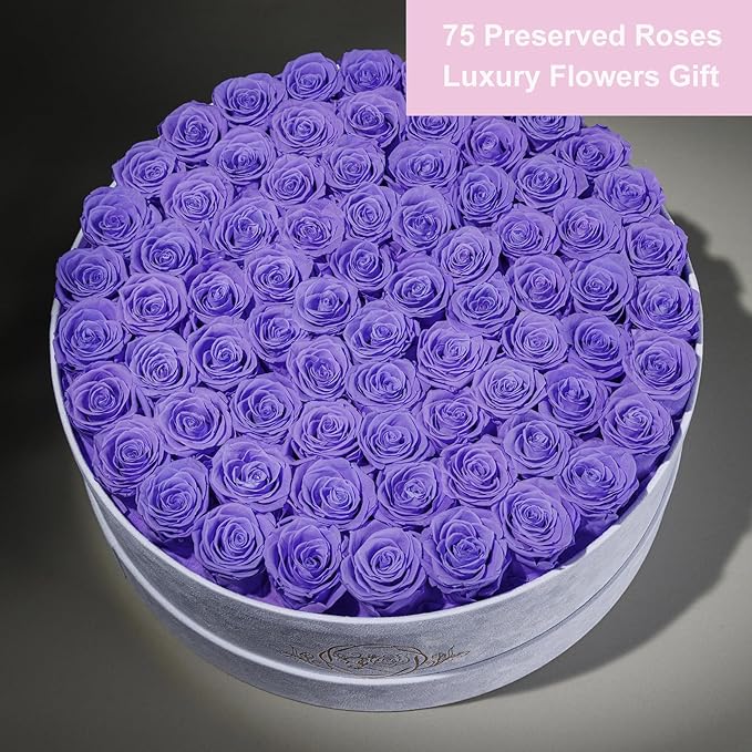 75 Preserved Roses in Suede Box – Luxury Rose Flower Arrangement, Preserved Flowers Gifts for Women, Wife or Mom – Birthday, Anniversary, Valentine’s Day, Mother's Day (Lavender)