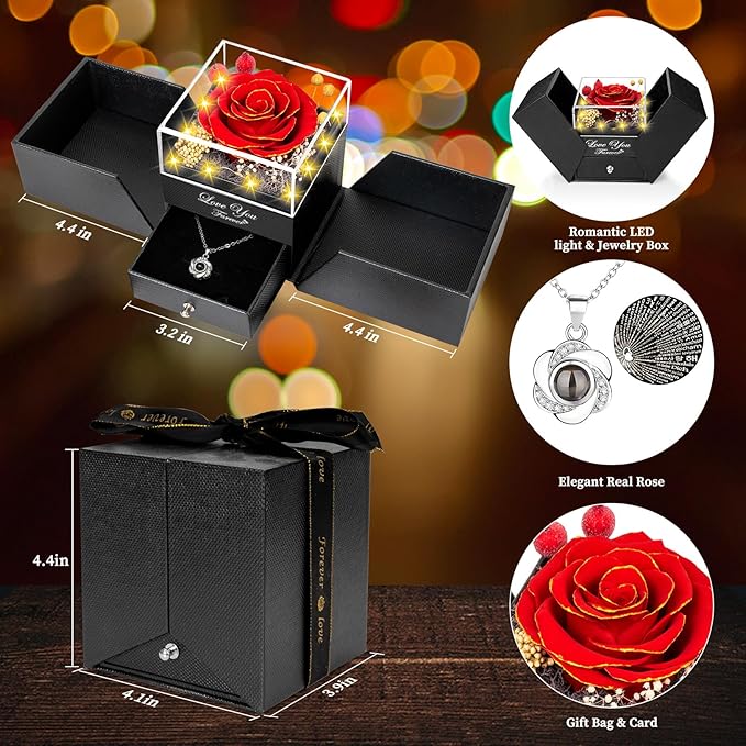 Preserved Red Chanson Real Rose-Eternal Flowers Rose Gifts for Mom Grandma Wife Girlfriend on Mothers Day Birthday Valentines Christmas Anniversary Romantic Gifts for Her with I Love You Necklace