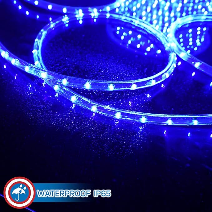Russell Decor LED Rope Lights Festival Holiday Party Seasonal Christmas Decoration 30ft - 200ft Customized Available (Blue, 30)