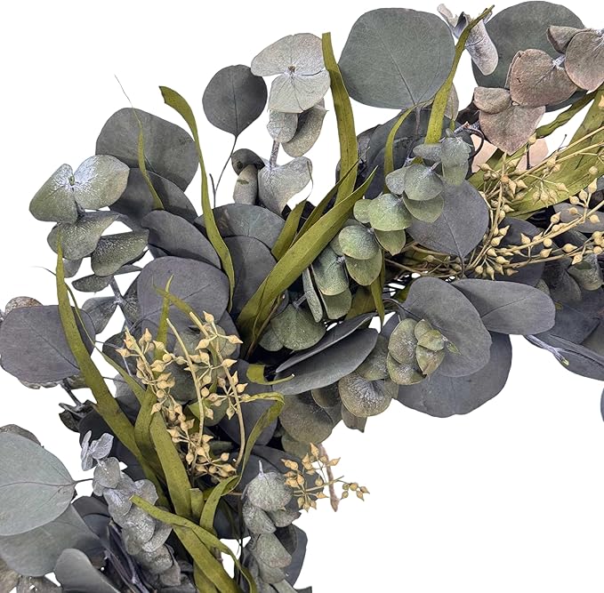 Galt International 21" Green Preserved Eucalyptus Branch Wreath – Fall, Thanksgiving & Christmas Front Door Decoration, Year Round Holiday Home Décor Accent