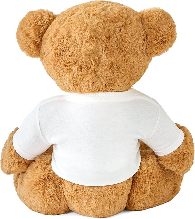 Let's Make Memories Personalized Teddy Bear Gram - Plush Stuffed Animal with Custom Tshirt - Message of Love - I Heart T-Shirt Bear - Oversized