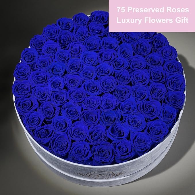 75 Preserved Roses in Suede Box – Luxury Rose Flower Arrangement, Preserved Flowers Gifts for Women, Wife or Mom – Birthday, Anniversary, Valentine’s Day, Mother's Day (Royal Blue)