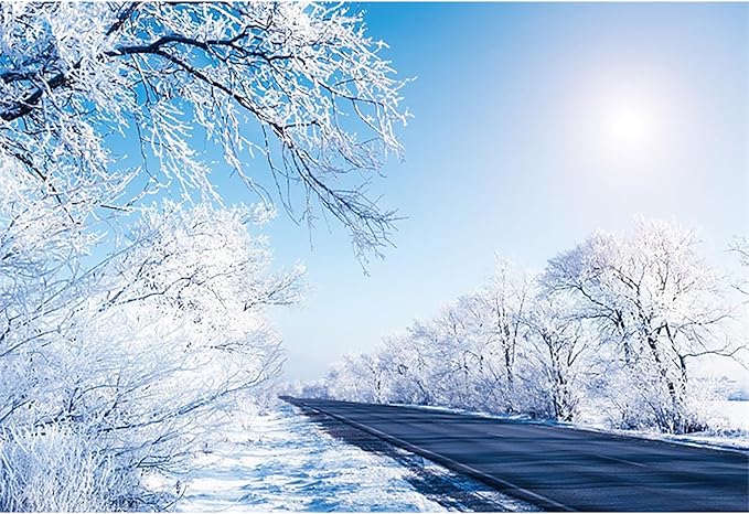 Baocicco 15x10ft Winter Landscape Photography Background Frozen Trees Sun Blue and White Wonderland Christma Xmas Photo Background for Winter Holiday Party Banner Family Party Supplies Decorations