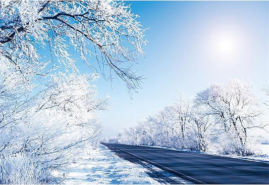 Baocicco 10x6.5ft Winter Landscape Photography Background Frozen Trees Sun Blue and White Wonderland Christma Xmas Photo Background for Winter Holiday Party Banner Family Party Supplies Decorations