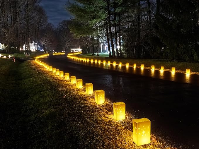 2025 New Waterproof 100 Pcs - Luminary Bags with Flameless Candles - Plastics Reusable Luminaries with Led Lights - Christmas Luminary Bags for Outdoors Birthday Wedding Thanksgiving Party Decor