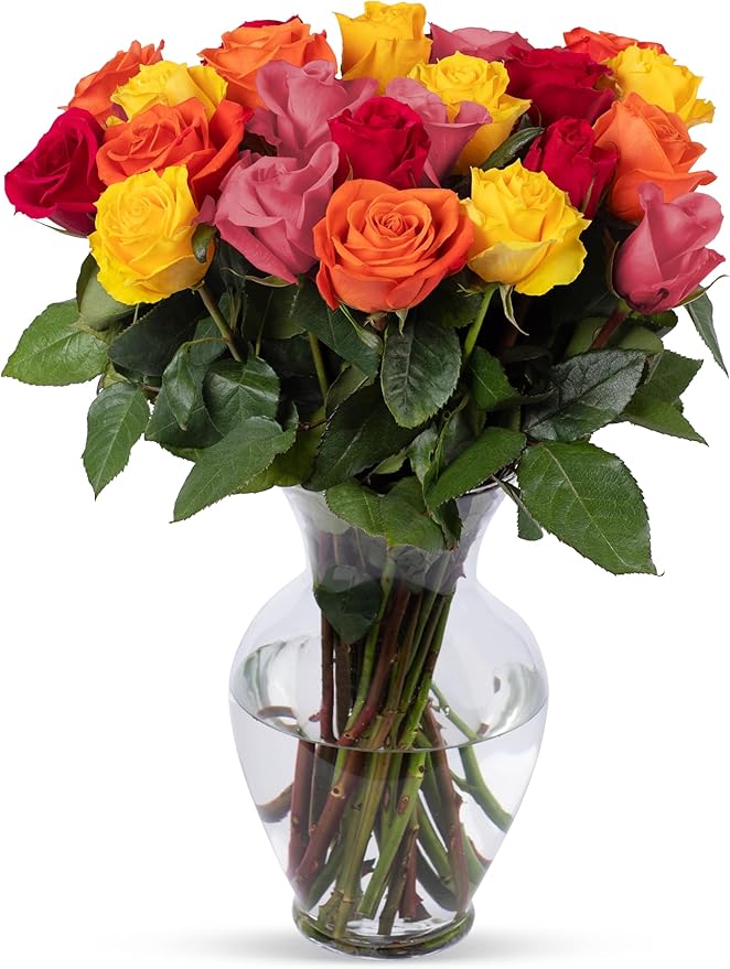 Benchmark Bouquets - 24 Stem Rainbow Roses (Glass Vase Included) - Fresh Flowers for Next Day Delivery - Gift for Birthday, Anniversary, Get Well, Sympathy, Congratulations, Valentine's Day