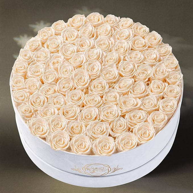 75 Preserved Roses in Suede Box – Luxury Rose Flower Arrangement, Preserved Flowers Gifts for Women, Wife or Mom – Birthday, Anniversary, Valentine’s Day, Mother's Day (Champagne)