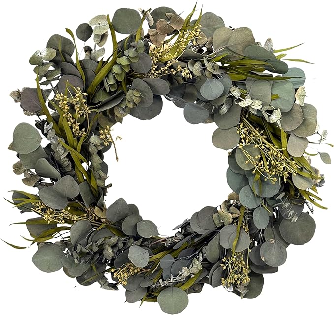 Galt International 21" Green Preserved Eucalyptus Branch Wreath – Fall, Thanksgiving & Christmas Front Door Decoration, Year Round Holiday Home Décor Accent