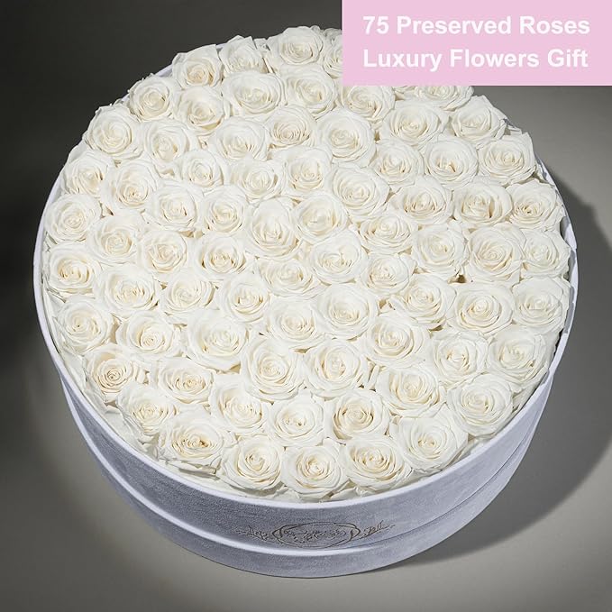 75 Preserved Roses in Suede Box – Luxury Rose Flower Arrangement, Preserved Flowers Gifts for Women, Wife or Mom – Birthday, Anniversary, Valentine’s Day, Mother's Day (White)