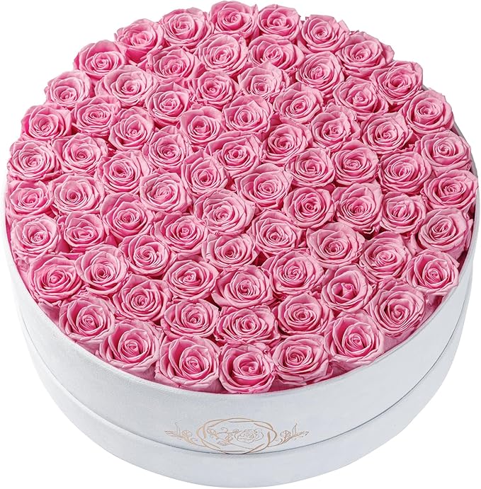 75 Preserved Roses in Suede Box – Luxury Rose Flower Arrangement, Preserved Flowers Gifts for Women, Wife or Mom – Birthday, Anniversary, Valentine’s Day, Mother's Day (Pink)