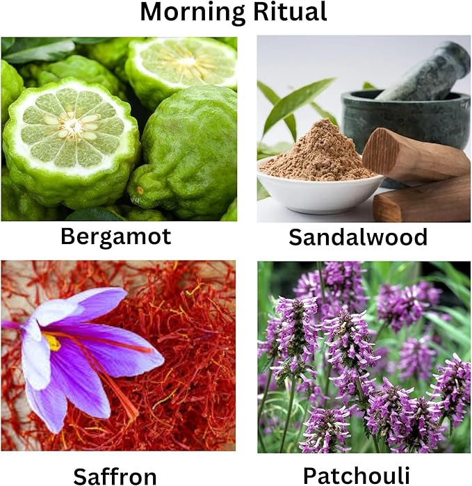 Morning Ritual Scented Candle – Palo Santo & Sandalwood Soy Candle for Meditation & Yoga – Earthy Moss Luxury Candle – Vegan, Phthalate-Free, Clean Burn – 13 oz, Made in USA