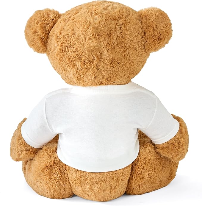 Let's Make Memories Personalized Teddy Bear Gram - Plush Stuffed Animal with Custom Tshirt - Birthday, Valentines Day - Create Your Own Message T-Shirt Bear - Oversized