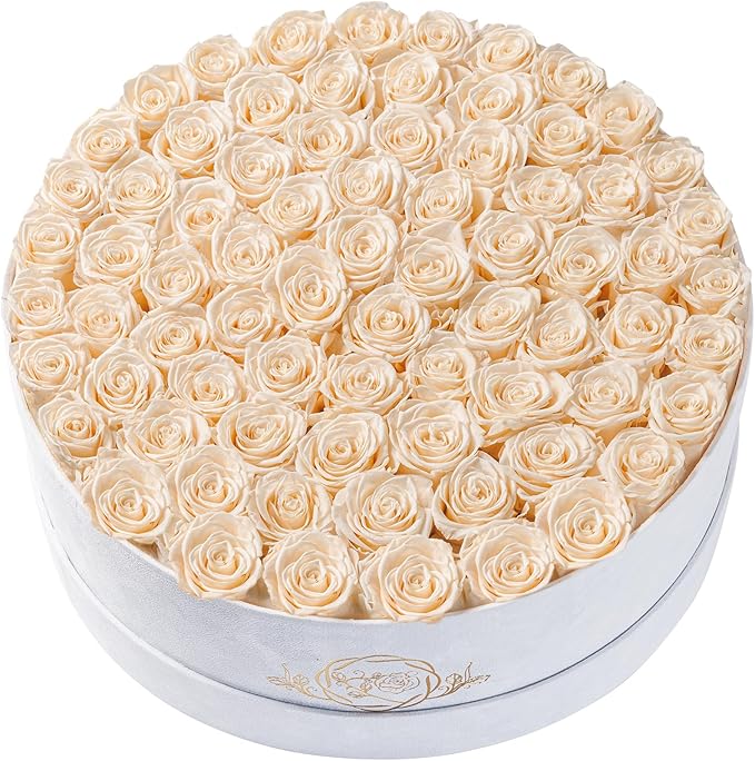 75 Preserved Roses in Suede Box – Luxury Rose Flower Arrangement, Preserved Flowers Gifts for Women, Wife or Mom – Birthday, Anniversary, Valentine’s Day, Mother's Day (Champagne)