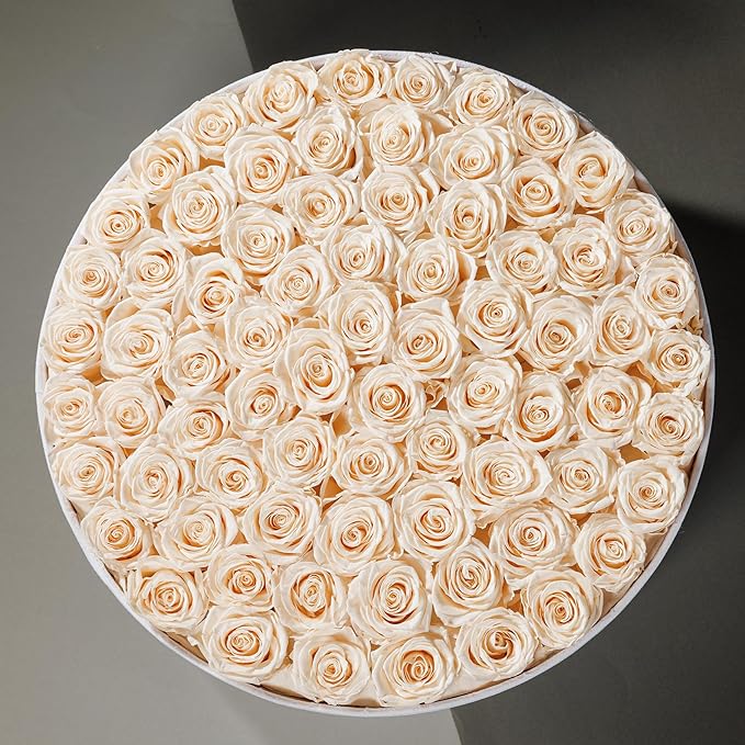 75 Preserved Roses in Suede Box – Luxury Rose Flower Arrangement, Preserved Flowers Gifts for Women, Wife or Mom – Birthday, Anniversary, Valentine’s Day, Mother's Day (Champagne)