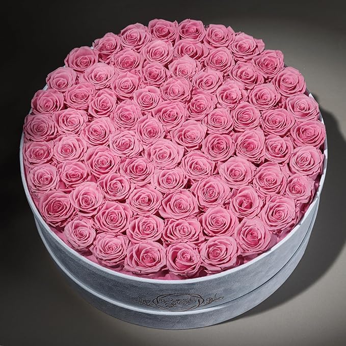 75 Preserved Roses in Suede Box – Luxury Rose Flower Arrangement, Preserved Flowers Gifts for Women, Wife or Mom – Birthday, Anniversary, Valentine’s Day, Mother's Day (Pink)