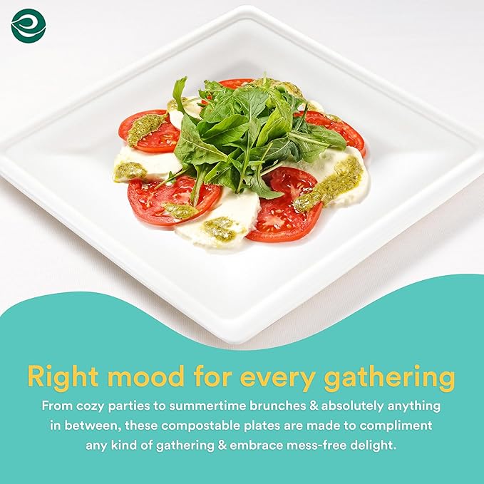 ECO SOUL 6 Inch Compostable Disposable Paper Plates [400 Pack] Food Safe 100% Virgin Bagasse Pulp Heavy Duty Biodegradable Microwave Safe Small Square Dessert Plate for Party, Picnic & BBQ (White)