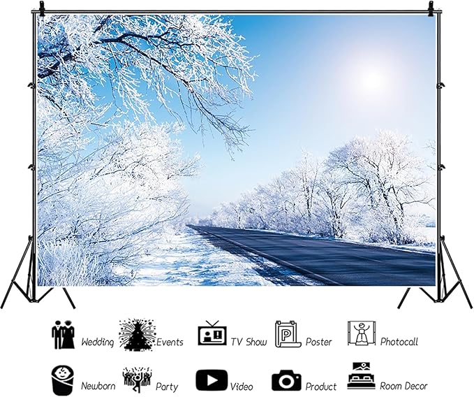 Baocicco 10x6.5ft Winter Landscape Photography Background Frozen Trees Sun Blue and White Wonderland Christma Xmas Photo Background for Winter Holiday Party Banner Family Party Supplies Decorations
