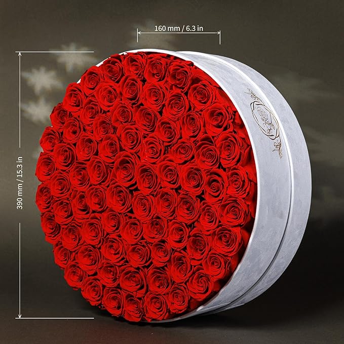 75 Preserved Roses in Suede Box – Luxury Rose Flower Arrangement, Preserved Flowers Gifts for Women, Wife or Mom – Birthday, Anniversary, Valentine’s Day, Mother's Day (Red)