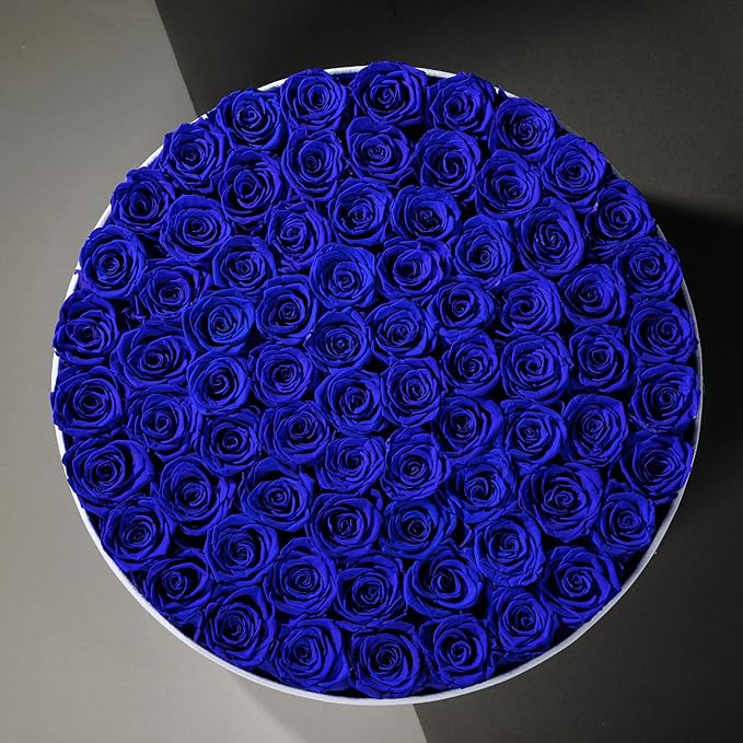 75 Preserved Roses in Suede Box – Luxury Rose Flower Arrangement, Preserved Flowers Gifts for Women, Wife or Mom – Birthday, Anniversary, Valentine’s Day, Mother's Day (Royal Blue)
