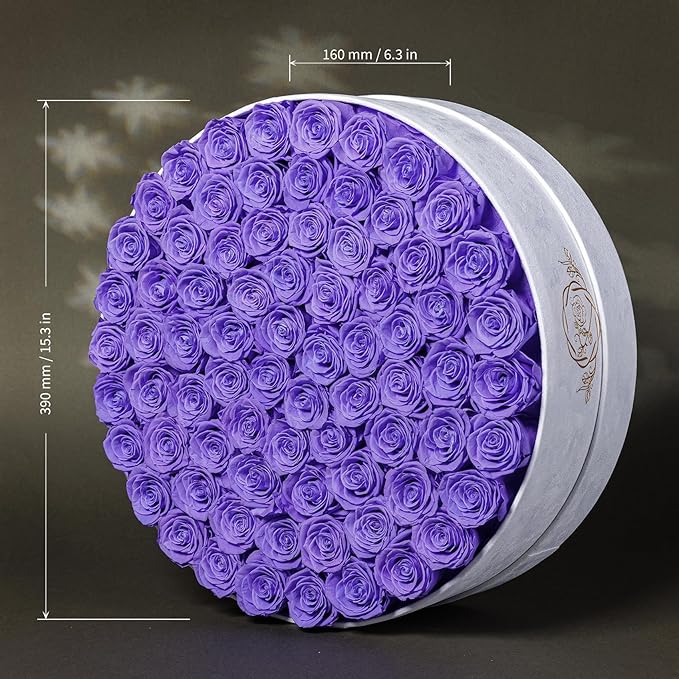 75 Preserved Roses in Suede Box – Luxury Rose Flower Arrangement, Preserved Flowers Gifts for Women, Wife or Mom – Birthday, Anniversary, Valentine’s Day, Mother's Day (Lavender)