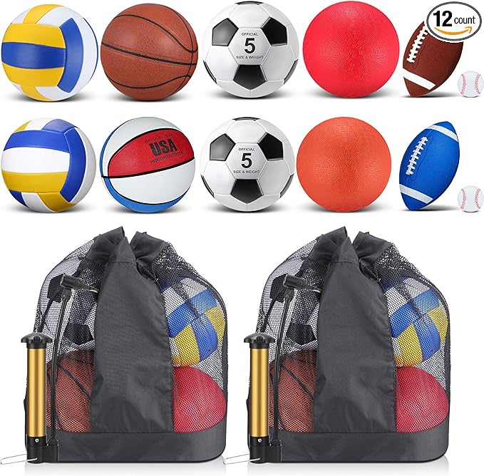 Deekin 12 Pcs Assorted Sport Ball Set Official Size Basketball Football Volleyball Soccer Baseball Playground Ball with Bag and Pump for Youth Adult Gifts