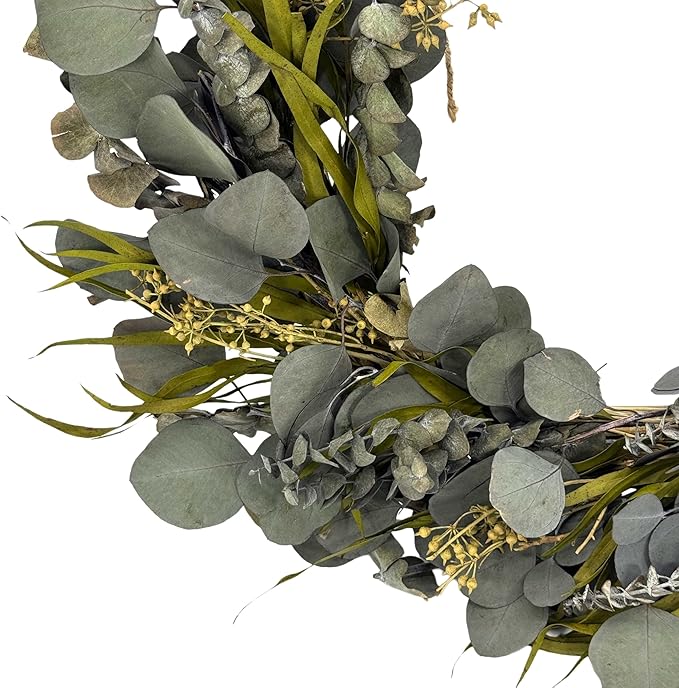 Galt International 21" Green Preserved Eucalyptus Branch Wreath – Fall, Thanksgiving & Christmas Front Door Decoration, Year Round Holiday Home Décor Accent