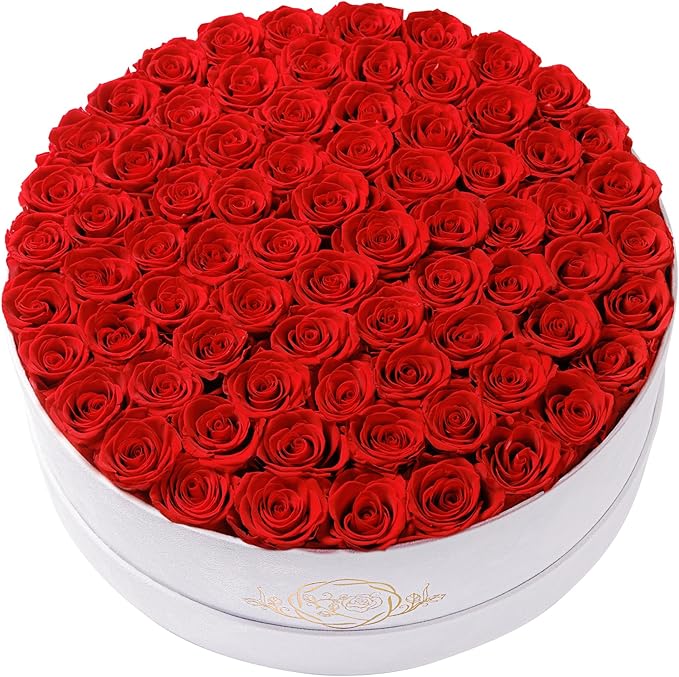 75 Preserved Roses in Suede Box – Luxury Rose Flower Arrangement, Preserved Flowers Gifts for Women, Wife or Mom – Birthday, Anniversary, Valentine’s Day, Mother's Day (Red)