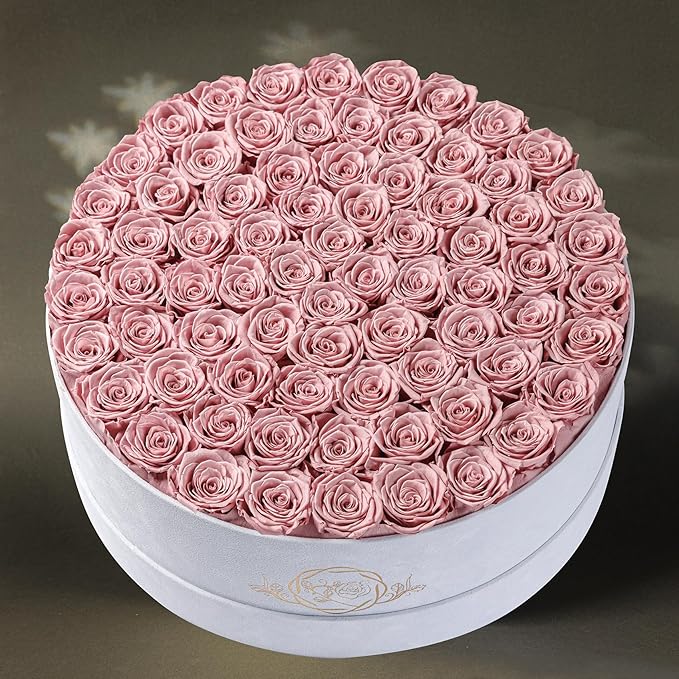 75 Preserved Roses in Suede Box – Luxury Rose Flower Arrangement, Preserved Flowers Gifts for Women, Wife or Mom – Birthday, Anniversary, Valentine’s Day, Mother's Day (Dusty Rose)