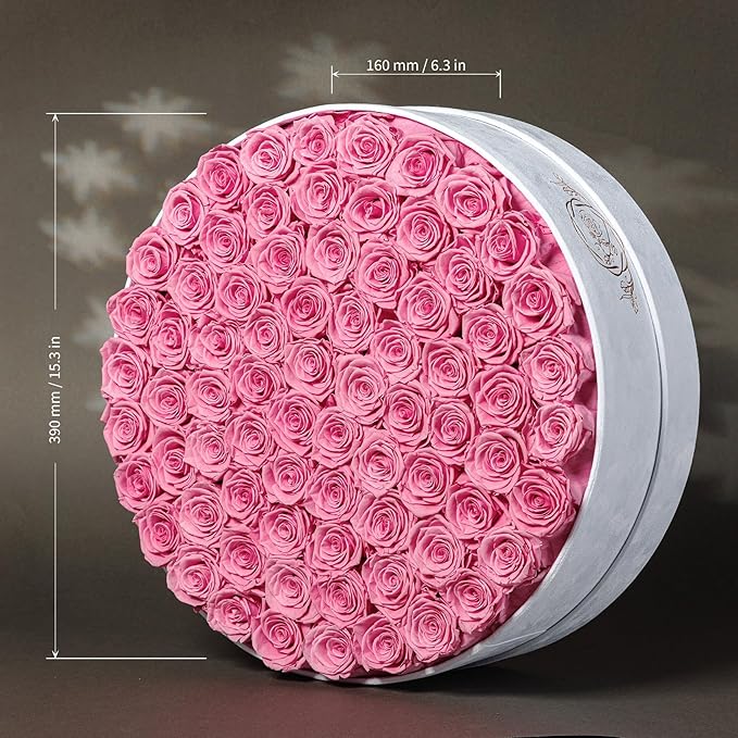 75 Preserved Roses in Suede Box – Luxury Rose Flower Arrangement, Preserved Flowers Gifts for Women, Wife or Mom – Birthday, Anniversary, Valentine’s Day, Mother's Day (Pink)