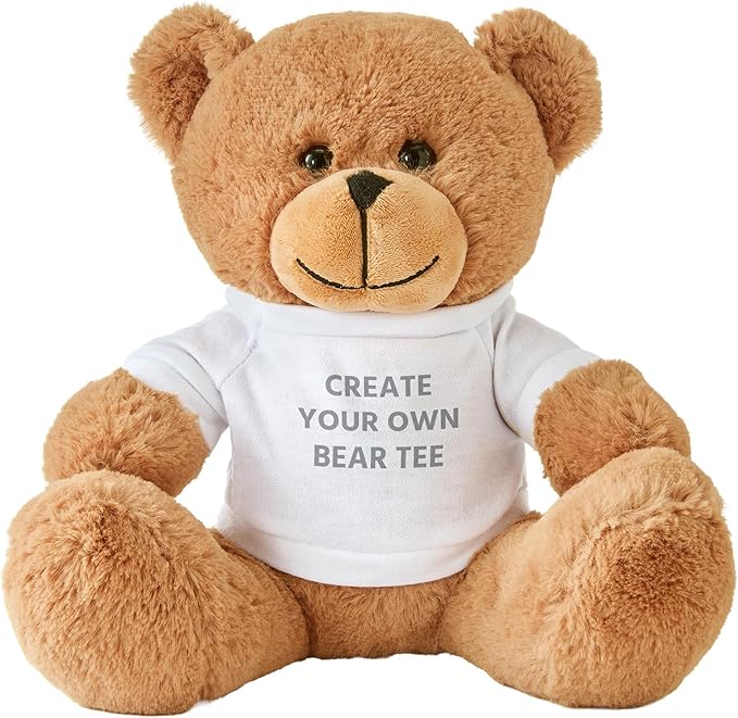 Let's Make Memories Personalized Teddy Bear Gram - Plush Stuffed Animal with Custom Tshirt - Birthday, Valentines Day - Create Your Own Message T-Shirt Bear - Little